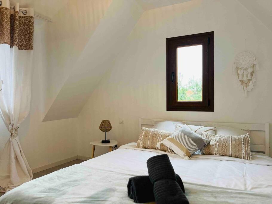 S'Hiesele Petite Maison Alsacienne Typique Ittenheim Buitenkant foto